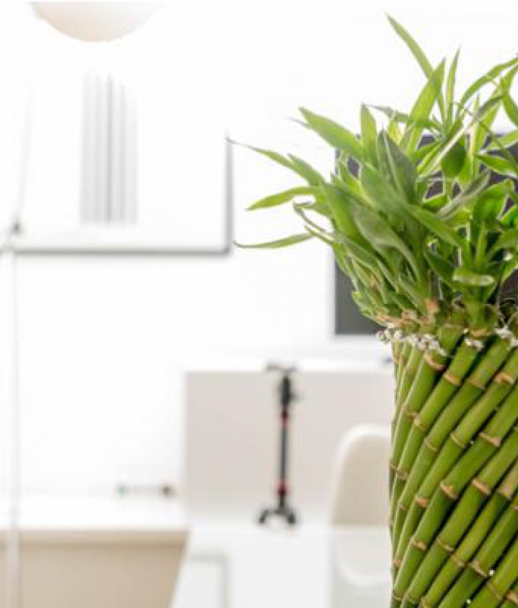 Feng Shui Your Bedroom for Better Sleep